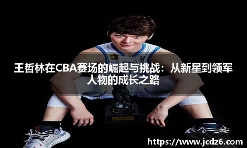 王哲林在CBA赛场的崛起与挑战：从新星到领军人物的成长之路